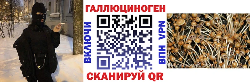 Псилоцибиновые грибы прущие грибы  нарко площадка какой сайт  Воскресенск 
