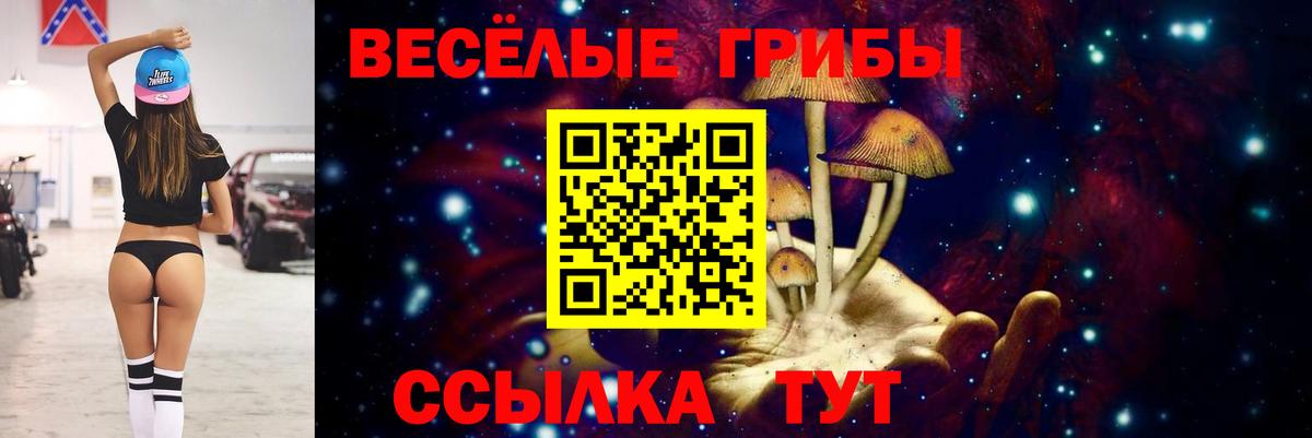 Воскресенск  Псилоцибиновые грибы Psilocybine cubensis  Галлюциногенные грибы мицелий  Вход с VPN 